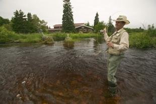 photo of newfoundland F76T3470