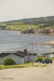 photo of newfoundland F76T3794