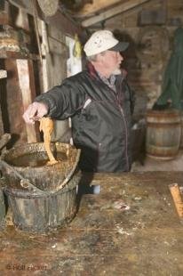 photo of newfoundland F76T7511