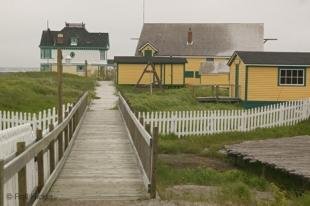 photo of Newfoundland F76T7515