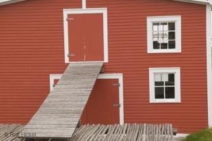 photo of Newfoundland F76T7541