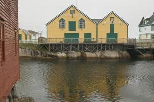 photo of Newfoundland F76T7603