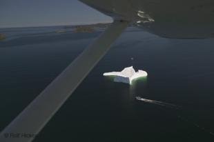 photo of newfoundland F76T7869