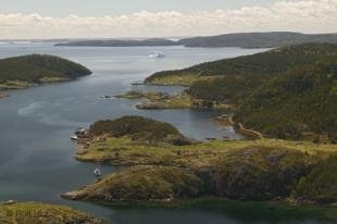 photo of newfoundland F76T7949