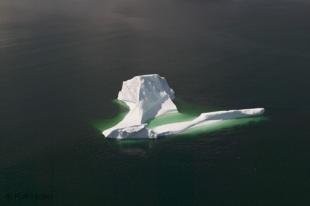 photo of newfoundland F76T7968