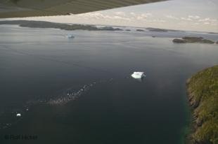 photo of newfoundland F76T7994