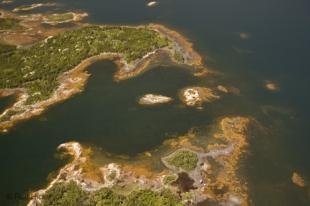 photo of newfoundland F76T8073