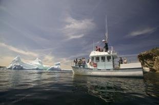 photo of iceberg tours