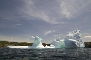 photo of newfoundland F76T8139