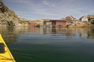 photo of kayaking kittiwake coast