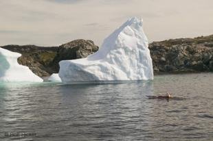 photo of Kayak Adventures Icebergs Newfoundland