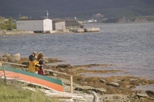 photo of newfoundland F76T8441