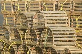 photo of lobster traps