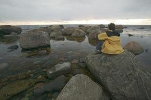 photo of newfoundland F76T8830