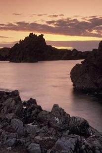 photo of newfoundland