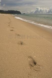 photo of Footsteps Sandy Beach Vacation