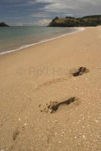 photo of New Zealand Beaches Footprints