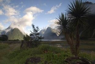 photo of Milford Sound