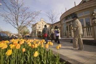 photo of niagara on The lake canada