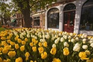 photo of niagara on the lake Spring Season