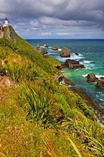 photo of Nugget Point Catlins New Zealand