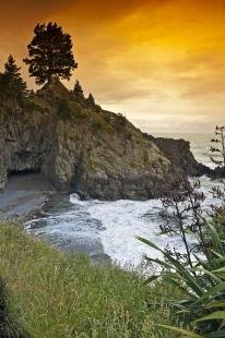 photo of Monkey Bay Marlborough New Zealand