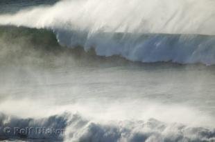 photo of Ocean Wave Photo