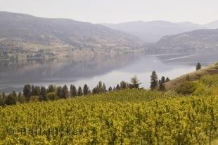 photo of Okanagan