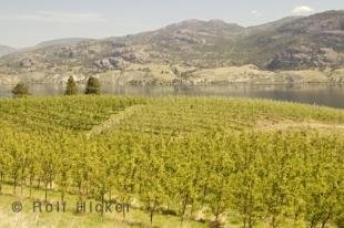 photo of Okanagan Valley