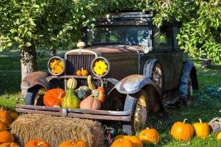 photo of Old Car Autumn Orchard
