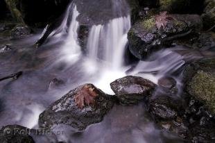 photo of Olympic National Park Waterfall