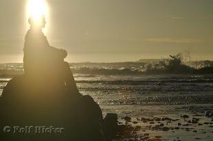 photo of Olympic Peninsula Vacation