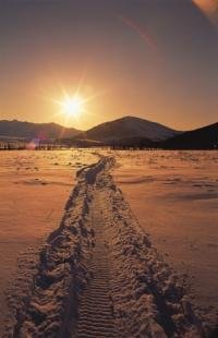 photo of Winter Scenery Snowmobile Track Sunset Pictures