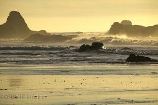 photo of Perfect Vacations