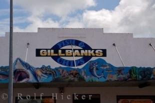 photo of Photo Of Wall Murals Opunake