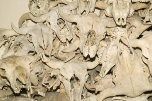 photo of alberta vacations