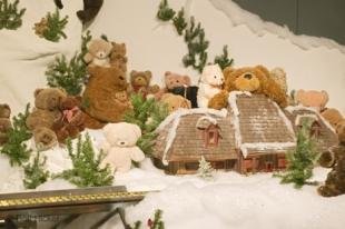 photo of Teddy Bear Photos