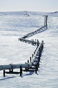 photo of Alaska Oil Pipeline Snow