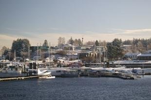 photo of Port McNeill Harbour