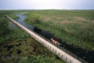 photo of Point Pelee Ontario