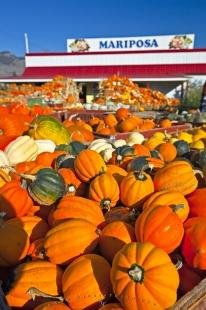 photo of Pumpkins Produce Market Keremeos Okanagan