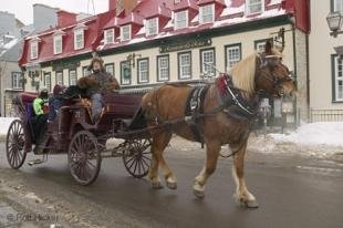 photo of Horse Drawn Rides