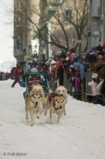 photo of Snow Dogs