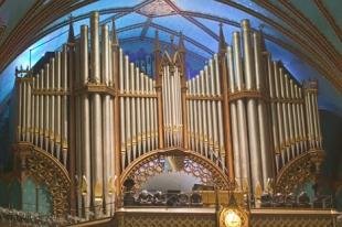 photo of Pipe Organs