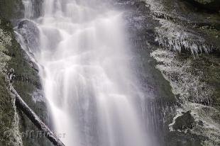 photo of Quinault Lake Region Waterfall Washington