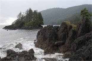photo of Raft Cove West Coast
