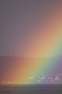 photo of Rainbows