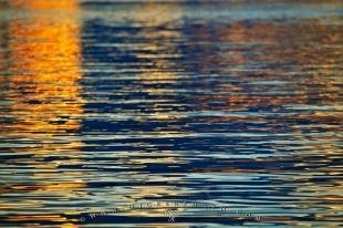 photo of Reflection Of Light Water Ripples