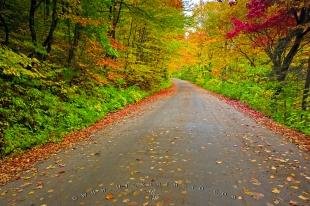 photo of River Road Parc De La Jacques Cartier Quebec