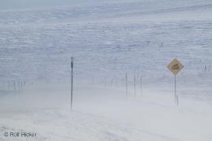 photo of Road Signs Steep Hill Winter Storm